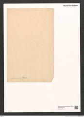 Diatomeae indet. Zeichnungen Sammlung Grunow (NHMW-BOT-W0374231)